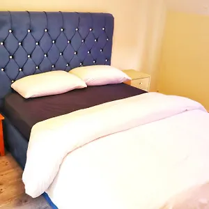 Deluxe Dwelling - 15 Mins From City/airport Séjour chez l'habitant Cork